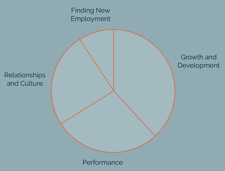 Pie Chart showing common session themes